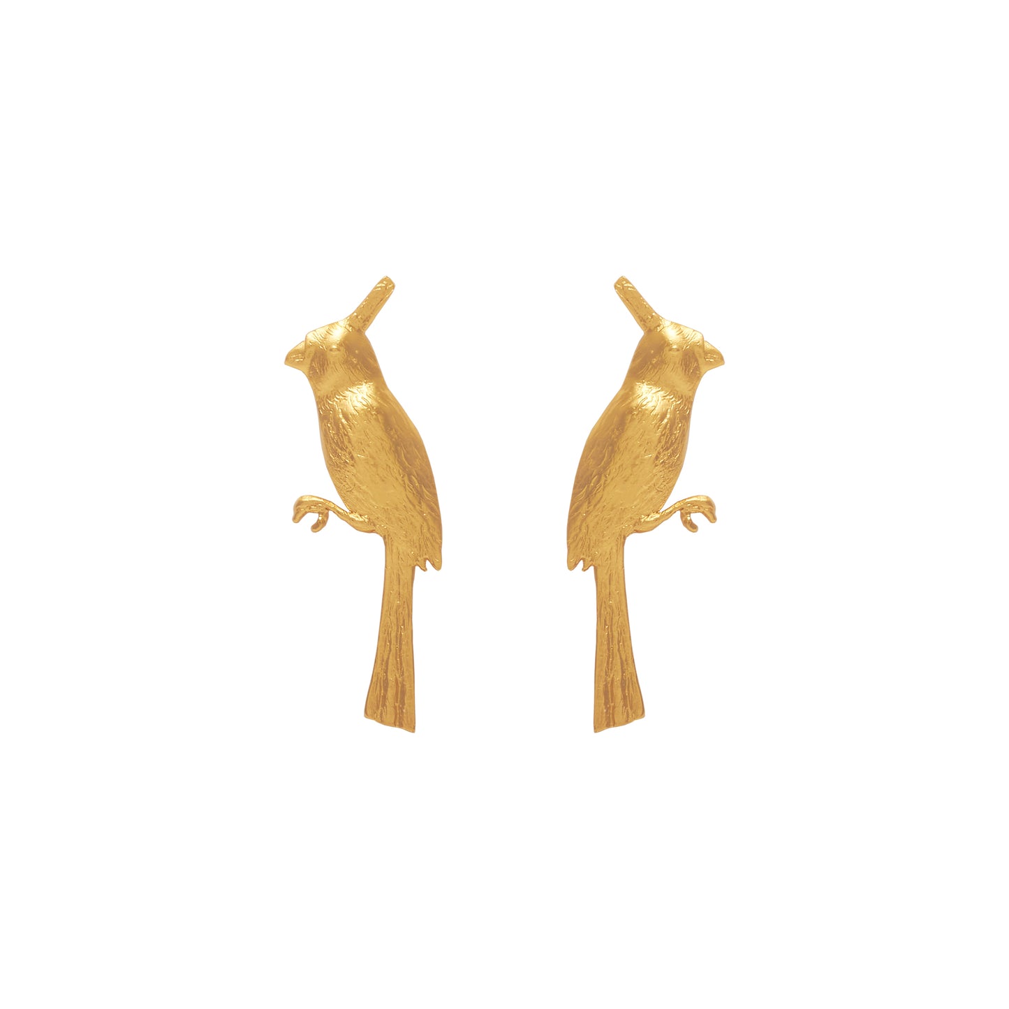 Aretes Cardenal Grande Dorado