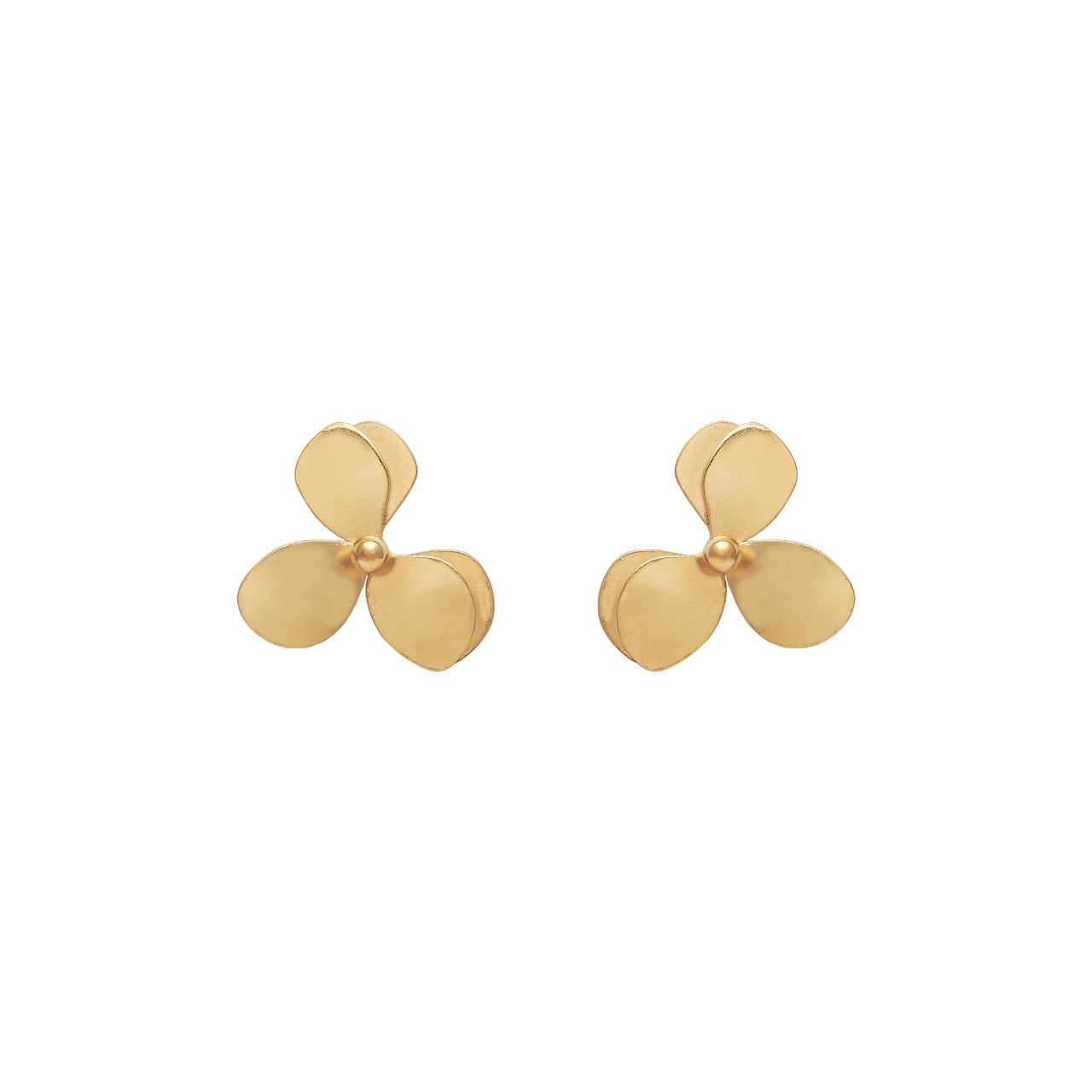 Aretes Numu