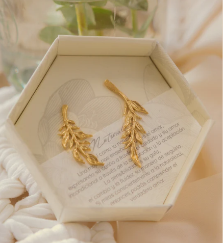 Aretes Naturaleza de Trascendenza