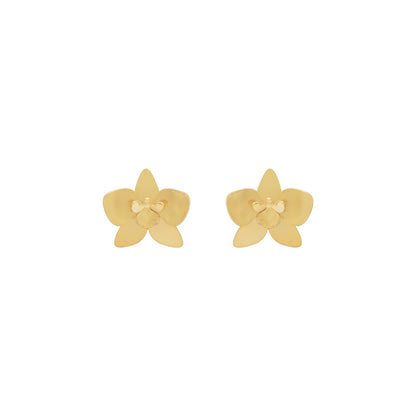 Aretes Quadricolor Mini