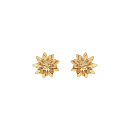 Aretes Loto