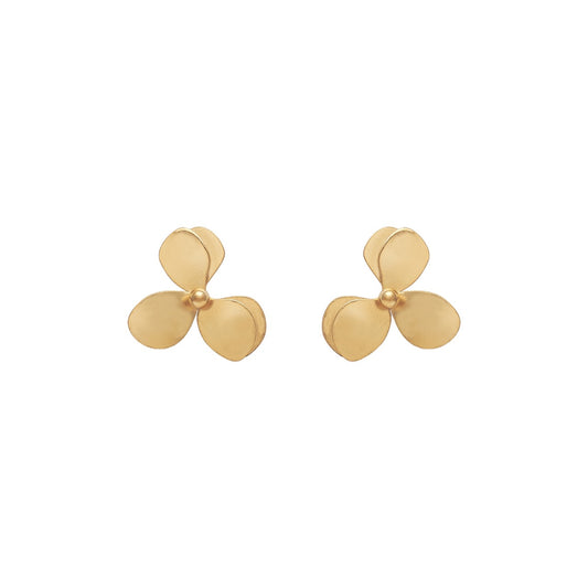 Aretes Numu