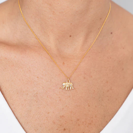 Cadena Dije de Elefante
