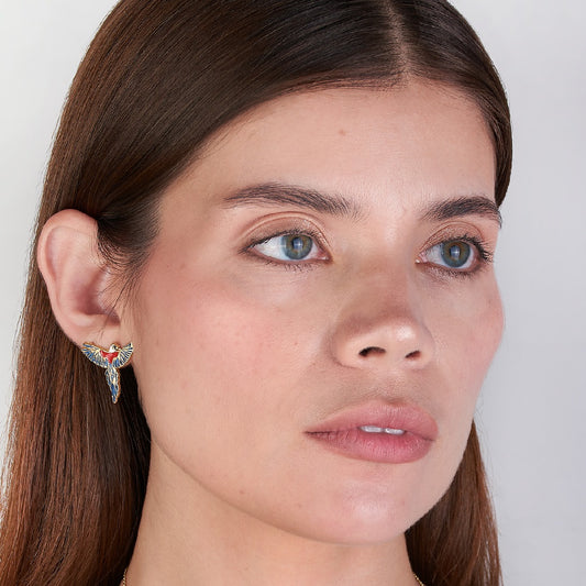 Aretes Topo LDG Guacamayas Alas