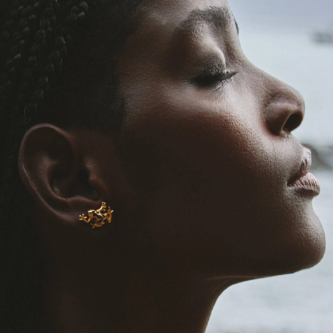 Aretes  Rana Azul
