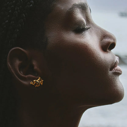 Aretes  Rana Azul