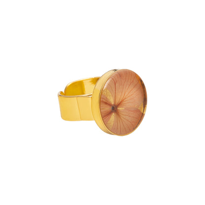 Anillo Caja Pequeño Resina