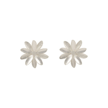 Aretes Passiflora